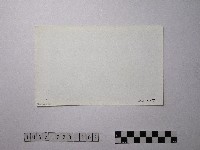 黃則修攝野柳地景藏品圖，第2張