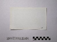 黃則修攝野柳地景藏品圖，第2張