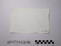 黃則修攝野柳地景藏品圖，第2張