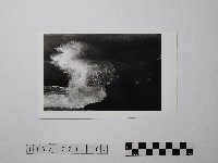 黃則修攝野柳地景藏品圖，第1張