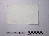 黃則修攝野柳地景藏品圖，第2張