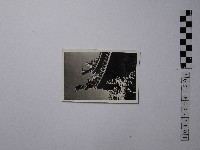 黃則修攝屋簷一角藏品圖，第1張