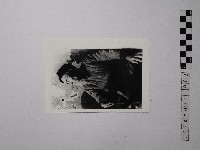 黃則修攝男子藏品圖，第1張