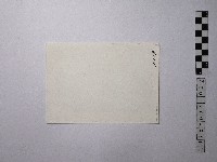 黃則修攝男子藏品圖，第2張