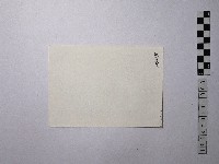 黃則修攝男子藏品圖，第2張