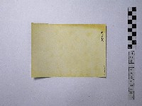 黃則修攝人群藏品圖，第2張