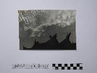 黃則修攝屋頂剪影與天空藏品圖，第1張