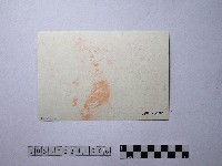 黃則修攝屋頂剪影與天空藏品圖，第2張