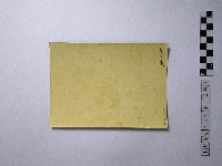 黃則修攝大尊神像藏品圖，第2張