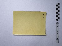 黃則修攝大尊神像藏品圖，第2張