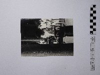 黃則修攝女子藏品圖，第1張