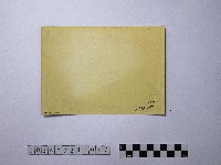 黃則修攝民眾藏品圖，第2張