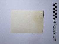 黃則修攝男子藏品圖，第2張