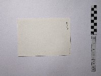 黃則修攝男子藏品圖，第2張