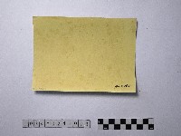 黃則修攝人群藏品圖，第2張