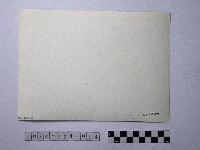 黃則修攝師父藏品圖，第2張