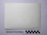 黃則修攝師傅藏品圖，第2張