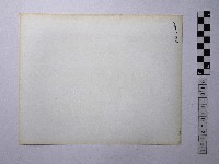 黃則修攝人倚靠廟門藏品圖，第2張