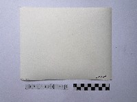 黃則修攝男孩合影照藏品圖，第2張