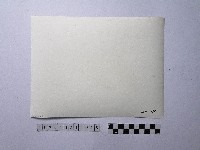 黃則修攝屋頂俯瞰照片藏品圖，第2張