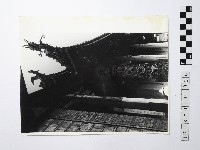 黃則修攝戴著斗笠的背影藏品圖，第1張