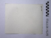 黃則修攝屋頂藏品圖，第2張