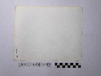 黃則修攝屋頂剪黏特寫照片藏品圖，第2張