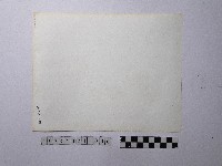 黃則修攝屋頂剪黏特寫照片藏品圖，第2張