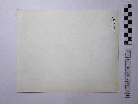 黃則修攝龍柱藏品圖，第2張