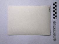 黃則修攝男孩藏品圖，第2張