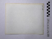 黃則修攝男子合影照藏品圖，第2張