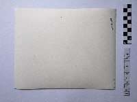 黃則修攝女性藏品圖，第2張