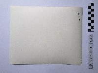 黃則修攝女性藏品圖，第2張