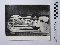 黃則修攝男子藏品圖，第1張