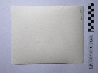 黃則修攝男子藏品圖，第2張