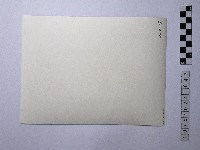 黃則修攝男子藏品圖，第2張