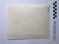 黃則修攝男子合影照藏品圖，第2張