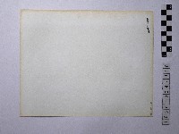 黃則修攝男子合影照藏品圖，第2張