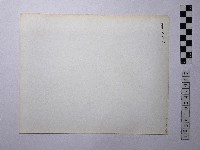 黃則修攝男子合影照藏品圖，第2張