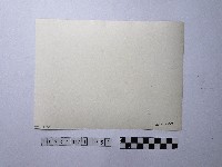 黃則修攝師父藏品圖，第2張