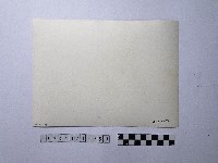 黃則修攝人群藏品圖，第2張