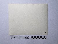 黃則修攝紙糊大象繞境隊伍藏品圖，第2張