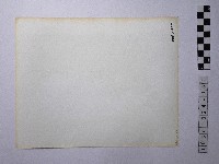 黃則修攝人群藏品圖，第2張