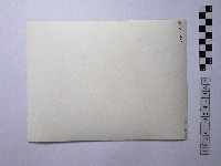 黃則修攝男女合影照藏品圖，第2張