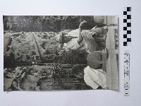 黃則修攝男子藏品圖，第1張