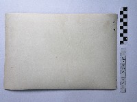 黃則修攝人群藏品圖，第2張