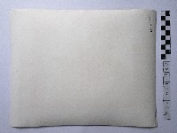 黃則修攝紙糊大象特寫照片藏品圖，第2張