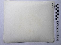 黃則修攝紙糊神像與祥獸藏品圖，第2張