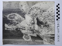 黃則修攝紙糊神像與祥獸藏品圖，第1張