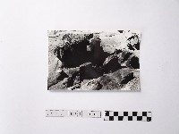 黃則修攝野柳地景藏品圖，第1張